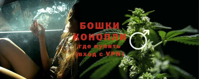 где купить наркоту  Лосино-Петровский  Марихуана THC 21% 